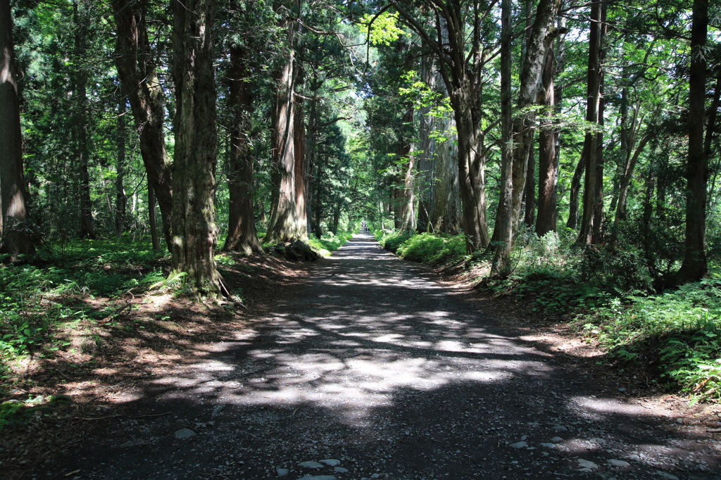 緑ノ参道