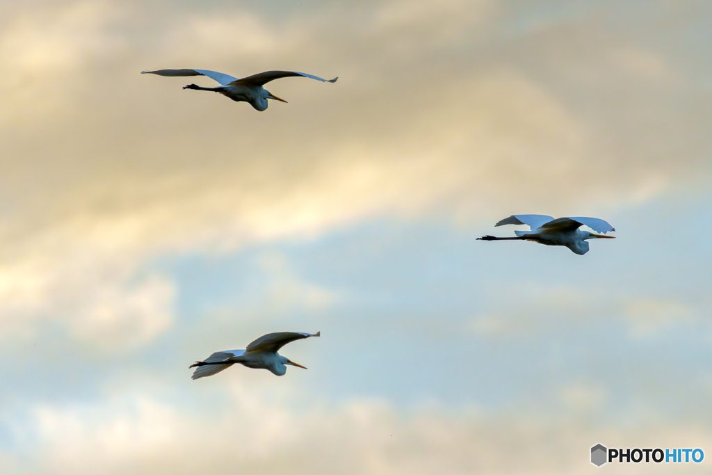 Formation flight