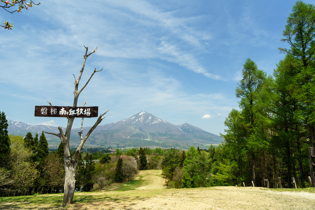春の高原