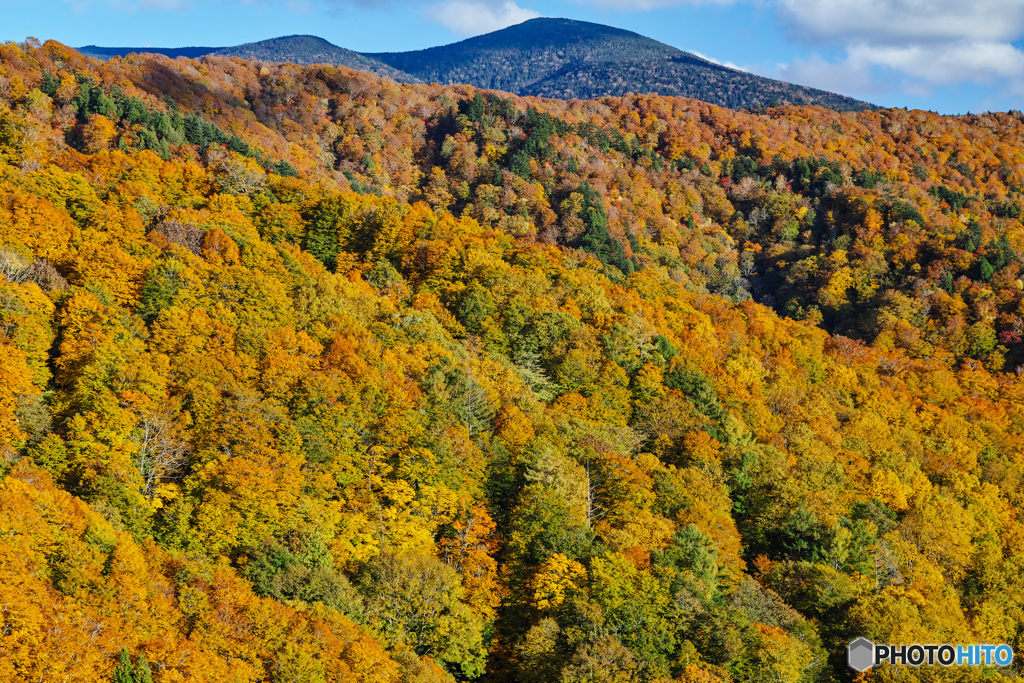山腹の紅葉 2