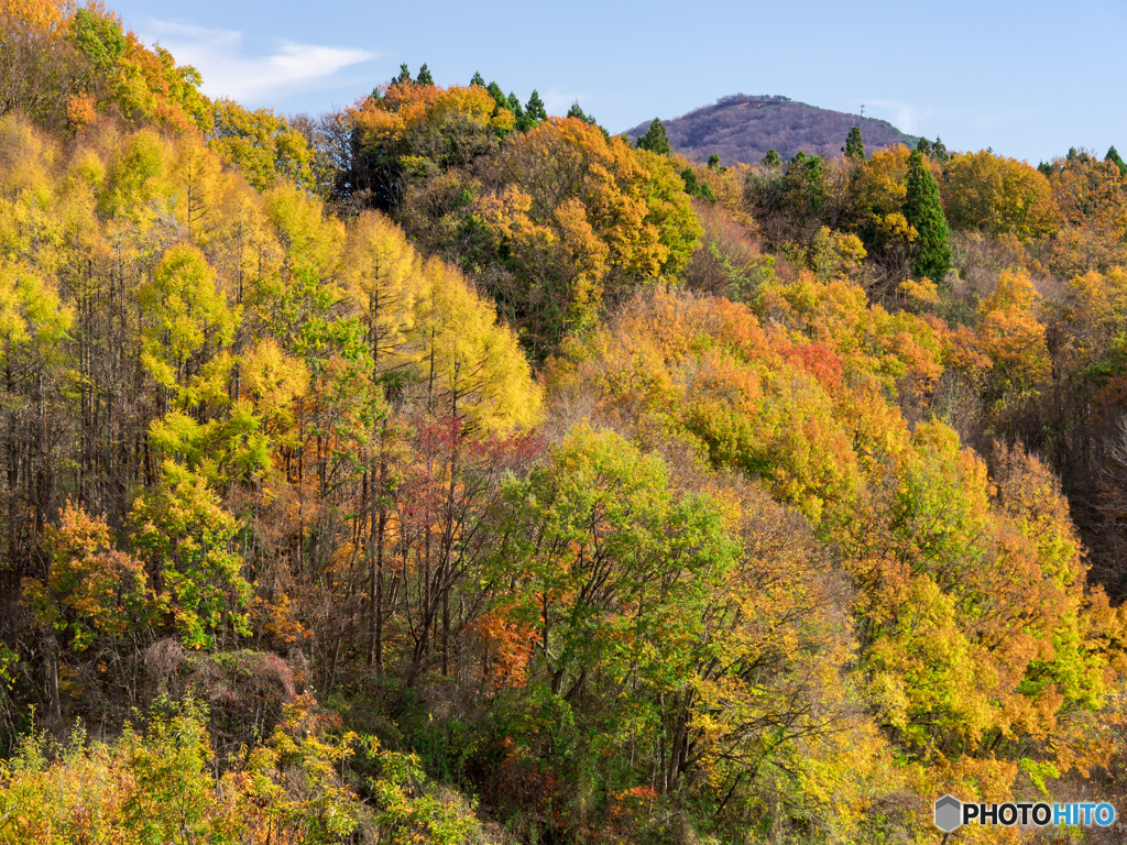 山林の紅葉