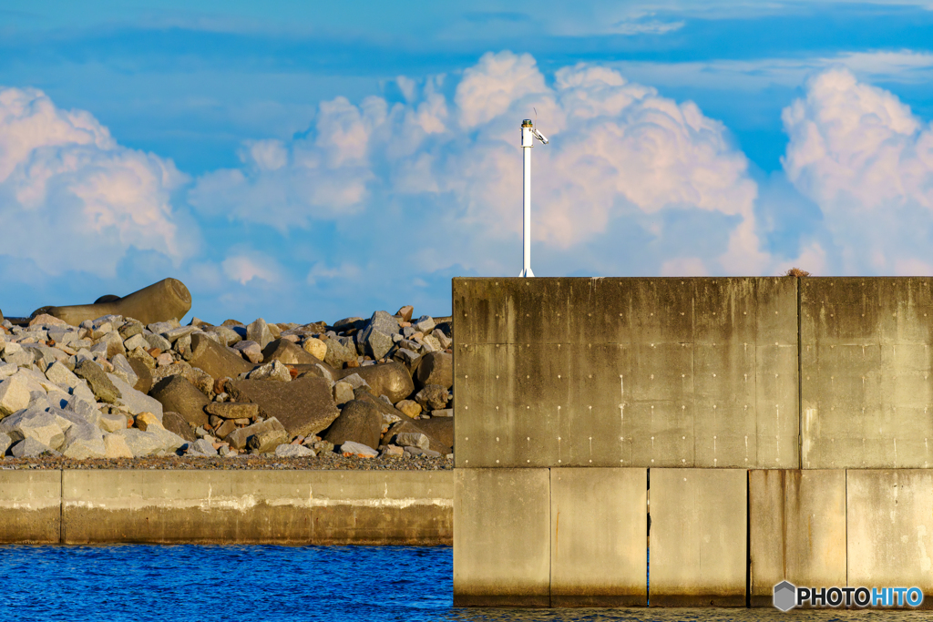 Harbor light