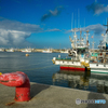 Fishing port 2