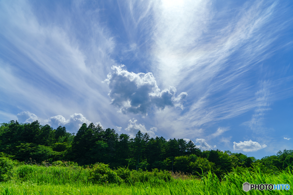 初夏の空