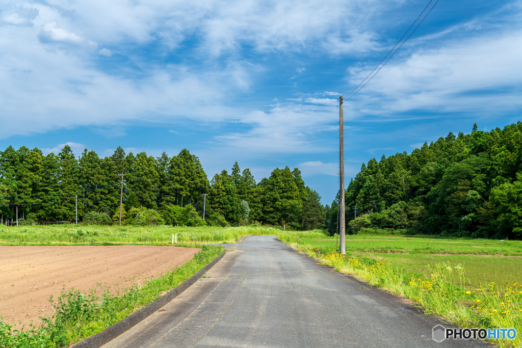 田舎道 1