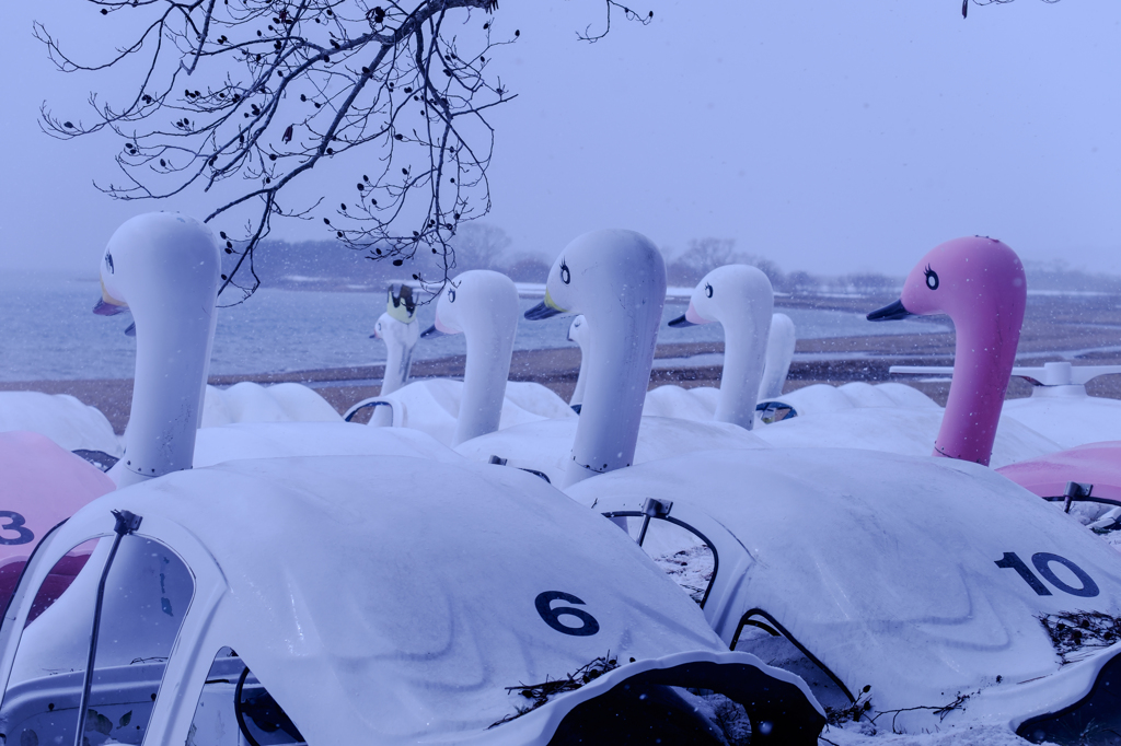 湖畔 なごり雪