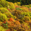色づく山麓