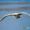 Glide