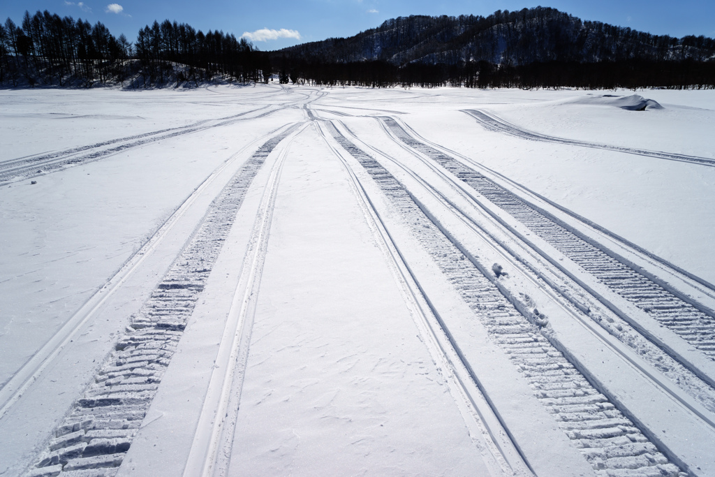 Snow world