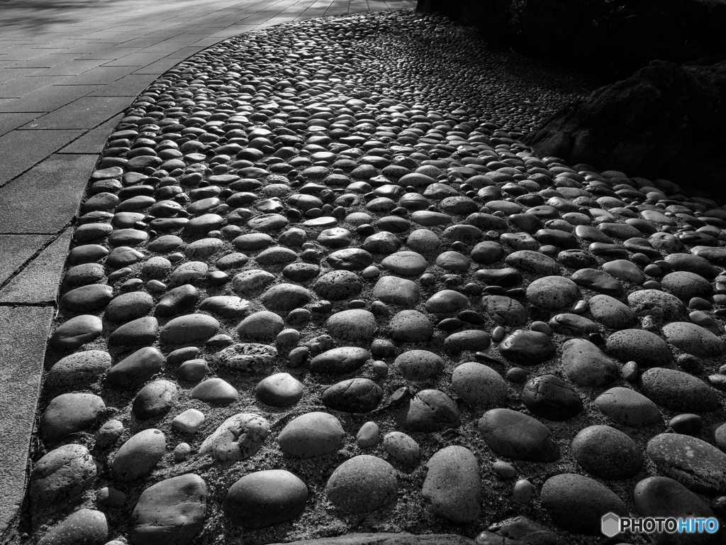 Monochrome 3
