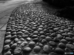 Monochrome 3