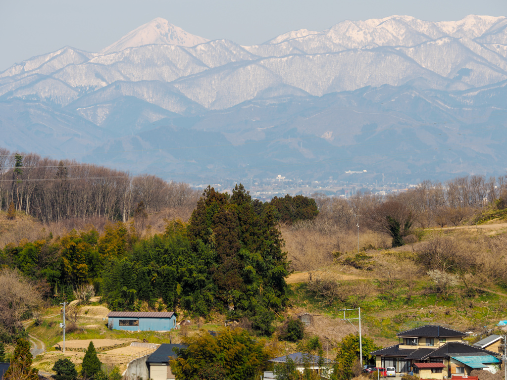 里山 -早春ｰ