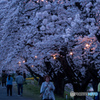 夕景 2
