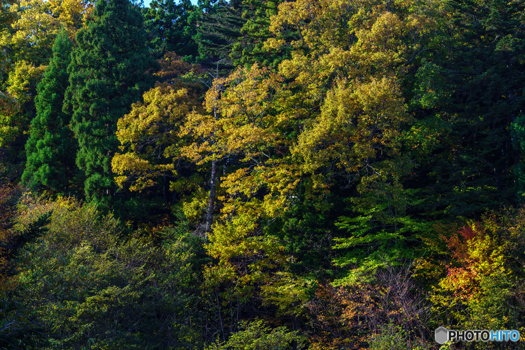 里山の耀き