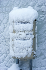 After the snow 1