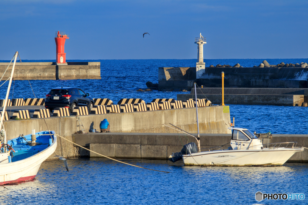 Harbor light