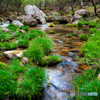 Stream 1