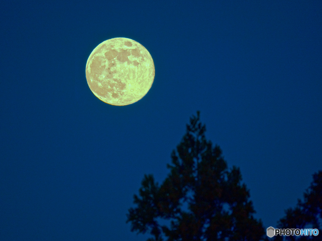 Cold Moon
