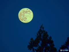 Cold Moon