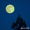 Cold Moon