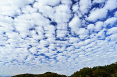 ひつじ雲