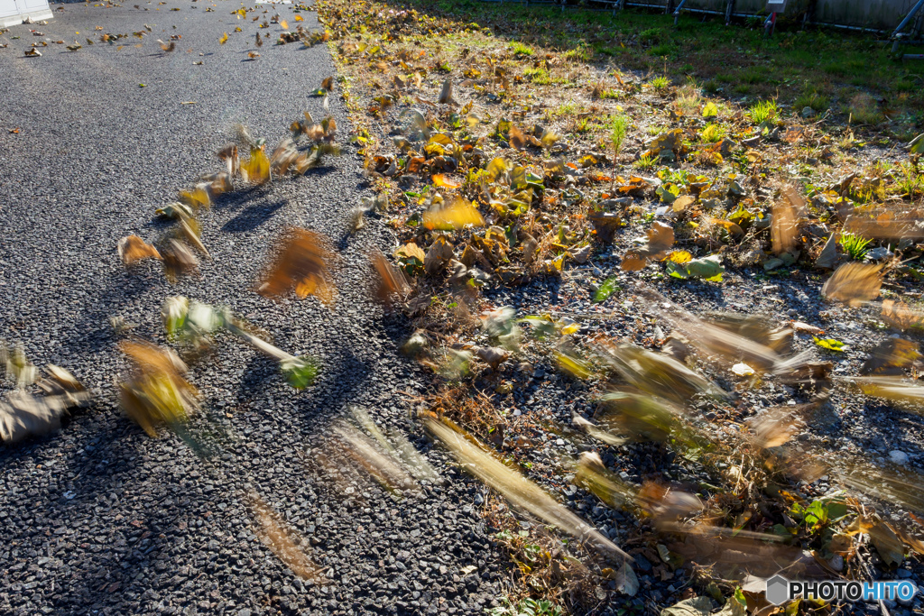 The end of Autumn