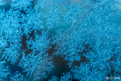 Cold Morning