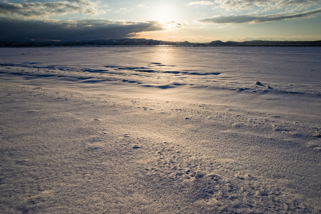 雪原