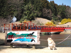 後が・・・
