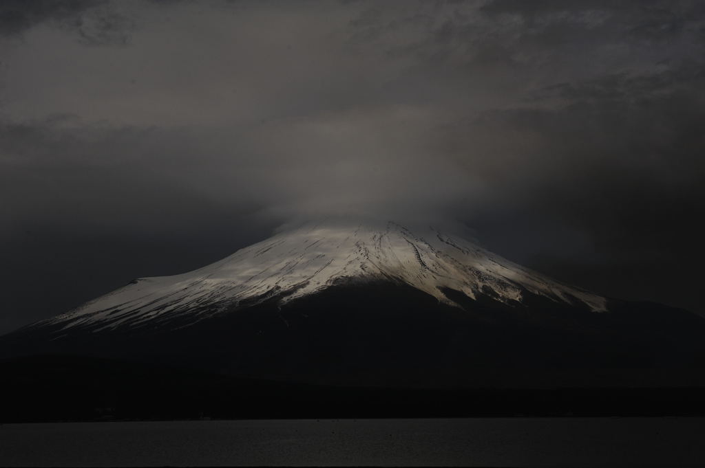 ゼブラな気分。