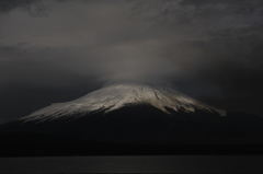 ゼブラな気分。