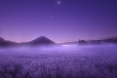 睡眠中の主役たち。