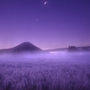 睡眠中の主役たち。