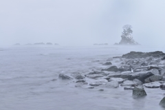 厳冬の雨晴海岸