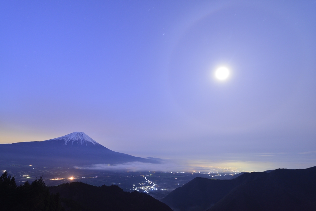 今夜は譲らんよ。