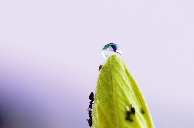 頂上には、気をつけろ～