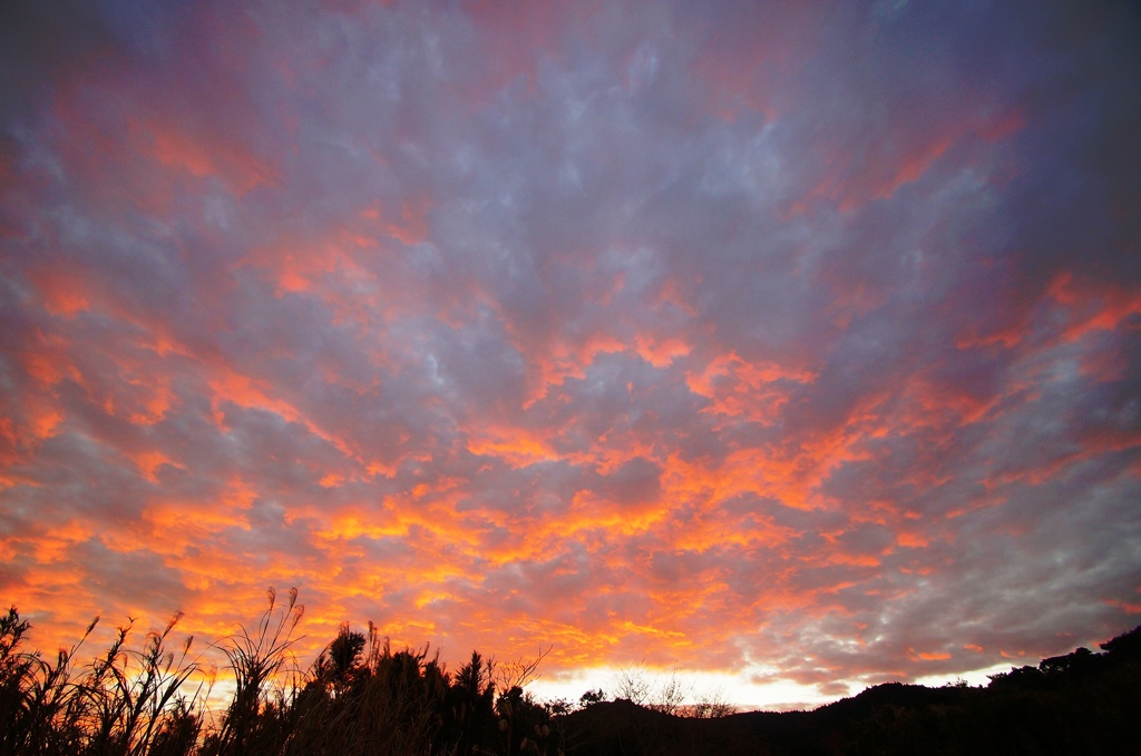 1月１８日の夕日ｐａｒｔⅡ
