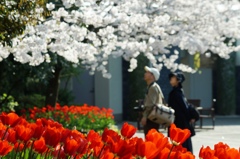 紅白で夫婦円満