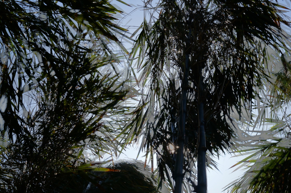 ブレ？part２