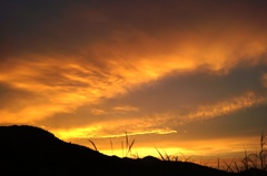 夕焼け
