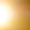 追いかけられない・・・眩しさ