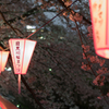 目黒川桜祭り