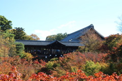 京都・東福寺