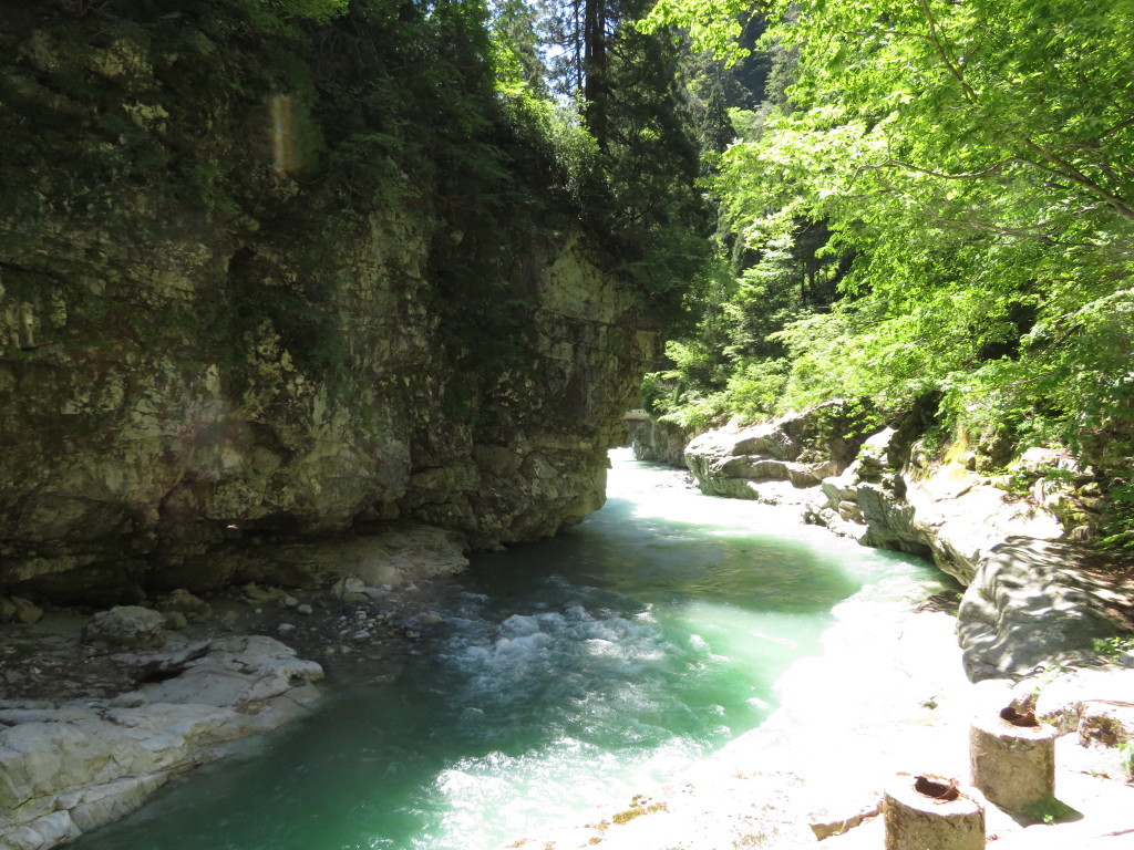 IMG_5214_1