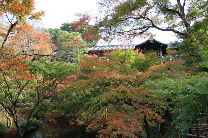 京都・東福寺