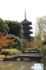 京都・東寺