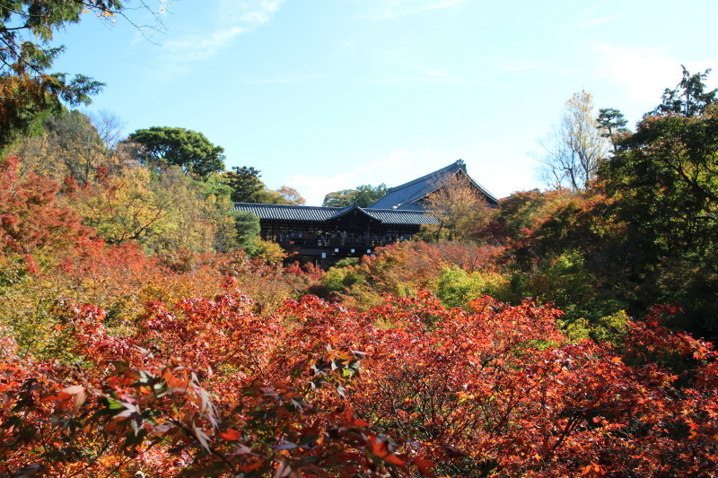 京都・東福寺