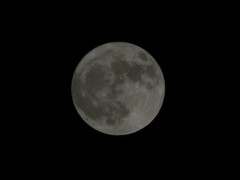 P1040867_1