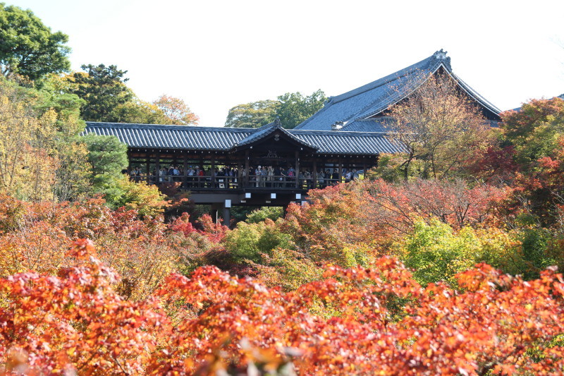 京都・東福寺