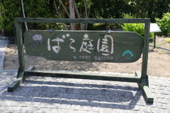 IMG_2620_1